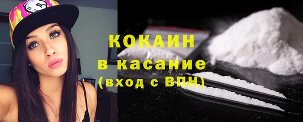 эйфоретик Арсеньев