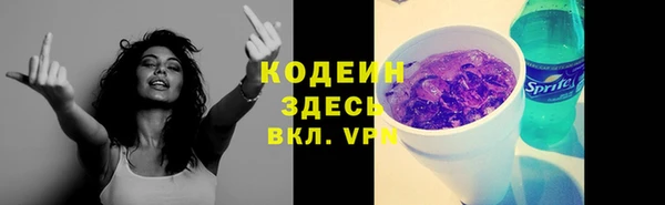 эйфоретик Арсеньев