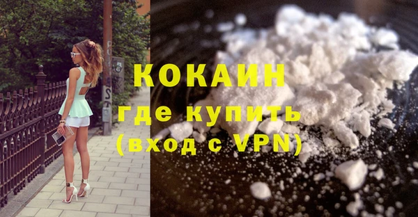 мяу мяу мука Аркадак