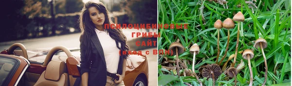 эйфоретик Арсеньев